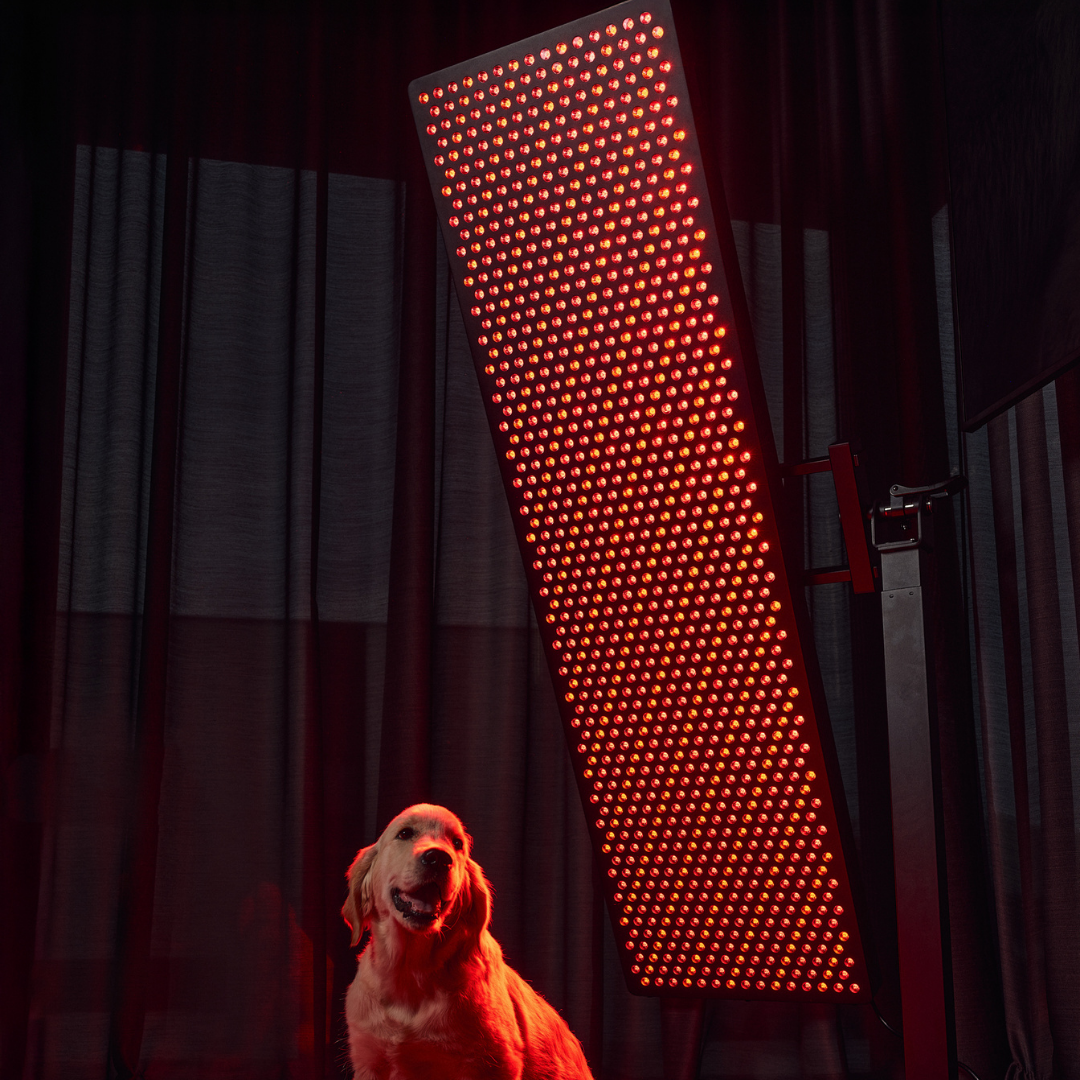 MITO LIGHT® Master 5.0 red light and NIR radiation panel